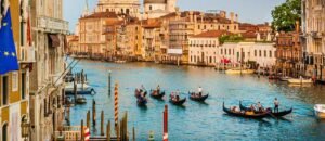 Read more about the article Discover Weed in Venice