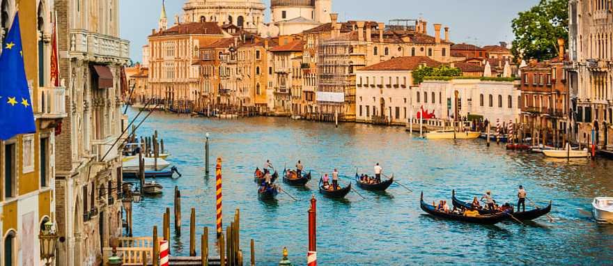 You are currently viewing Discover Weed in Venice