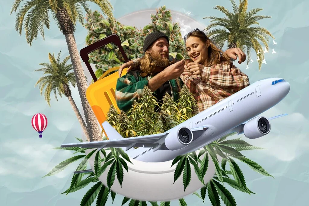 Weed in Rome