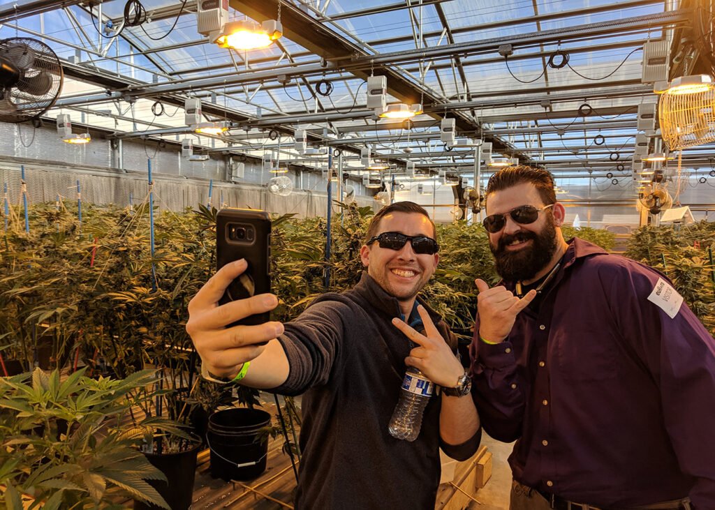 Weed in Nice
