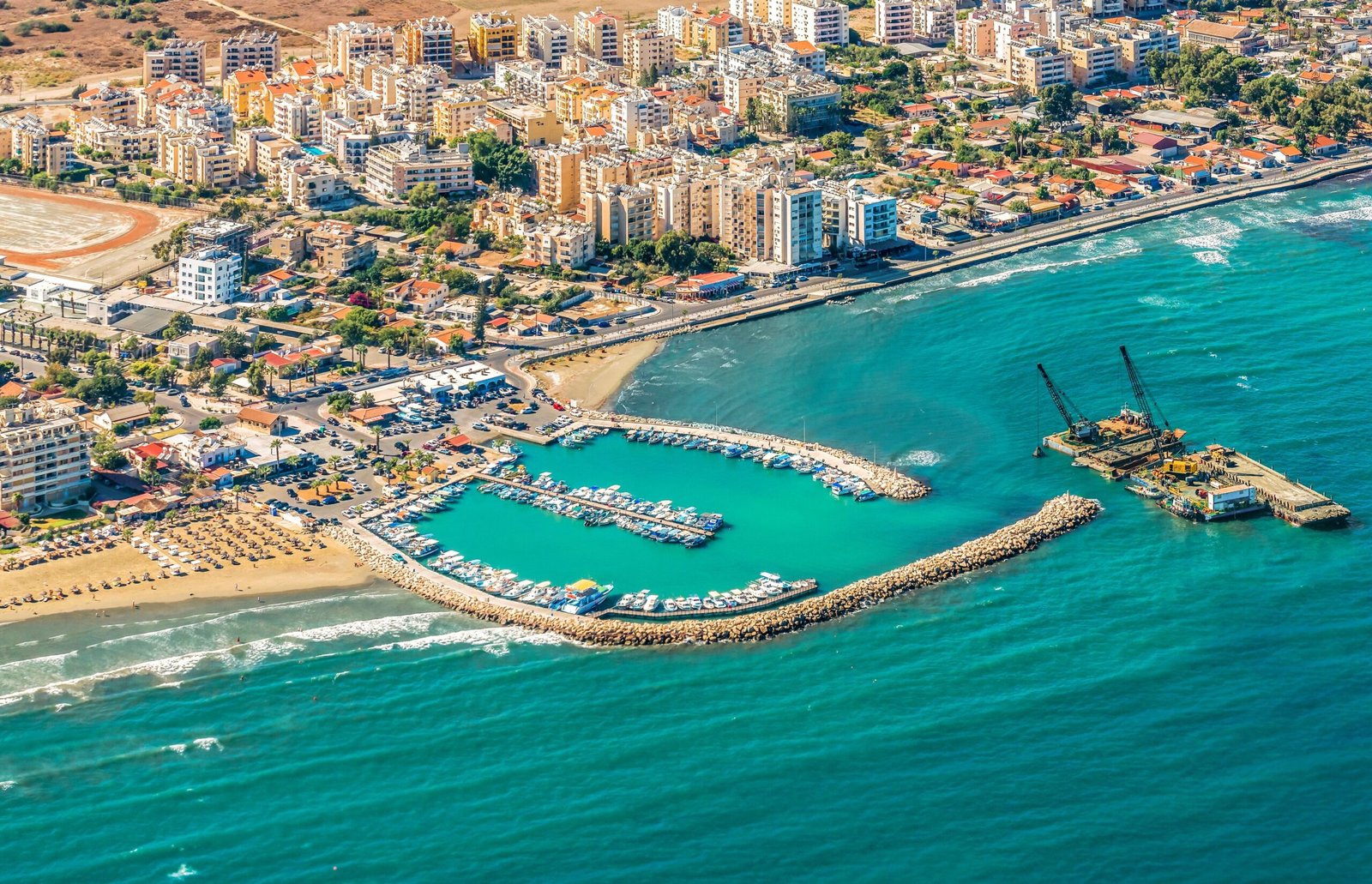Read more about the article Discover Weed in Larnaca
