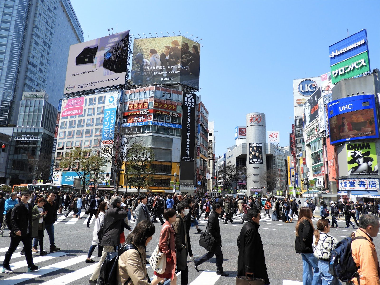 Read more about the article Discover Weed in Tokyo