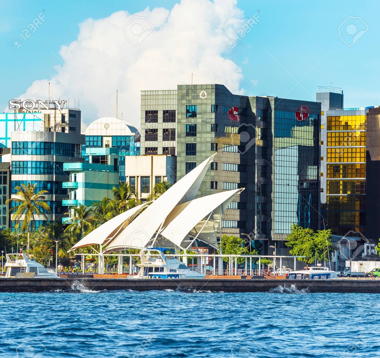Read more about the article Discover Weed In Maldives
