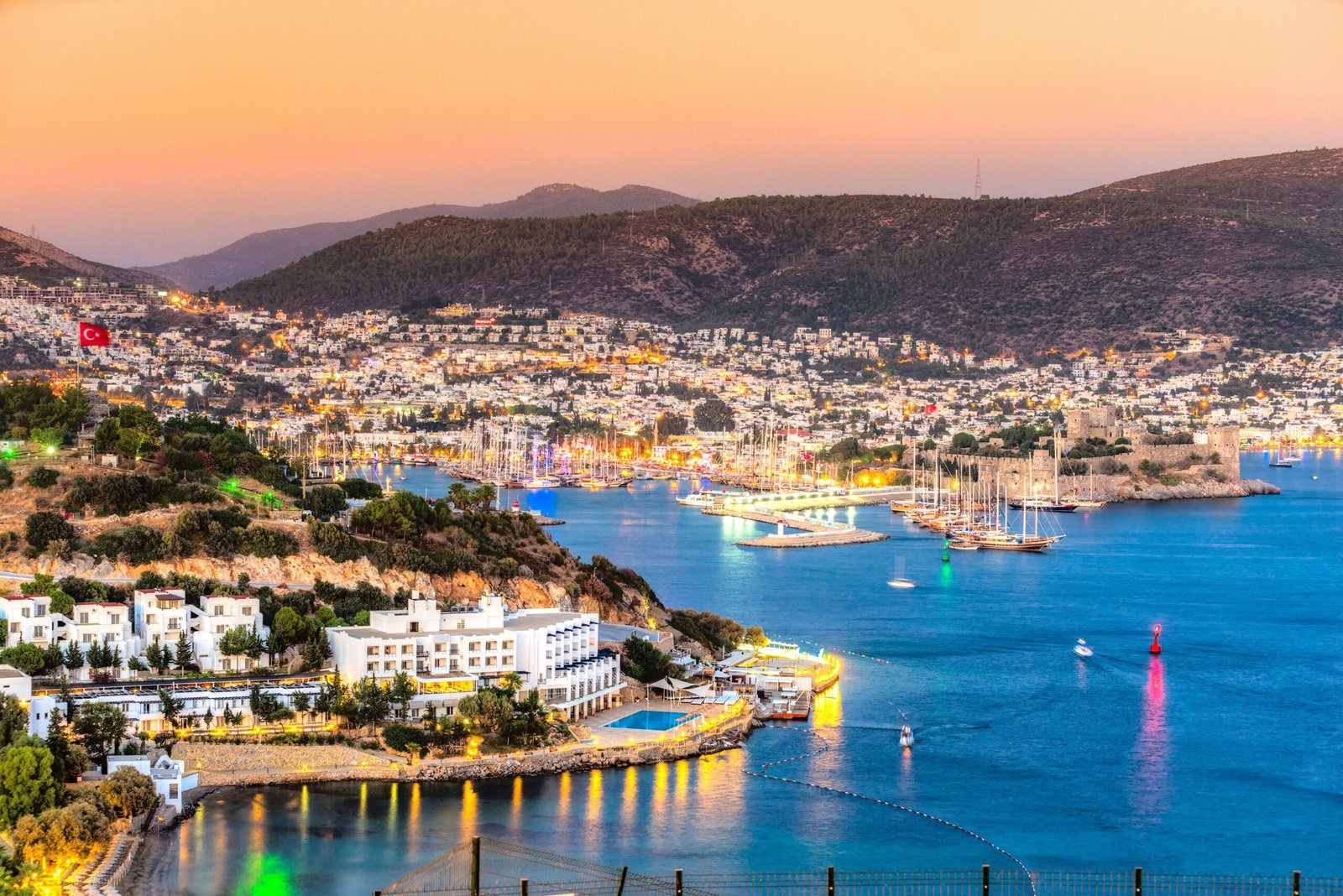 Read more about the article Discover Weed in Bodrum