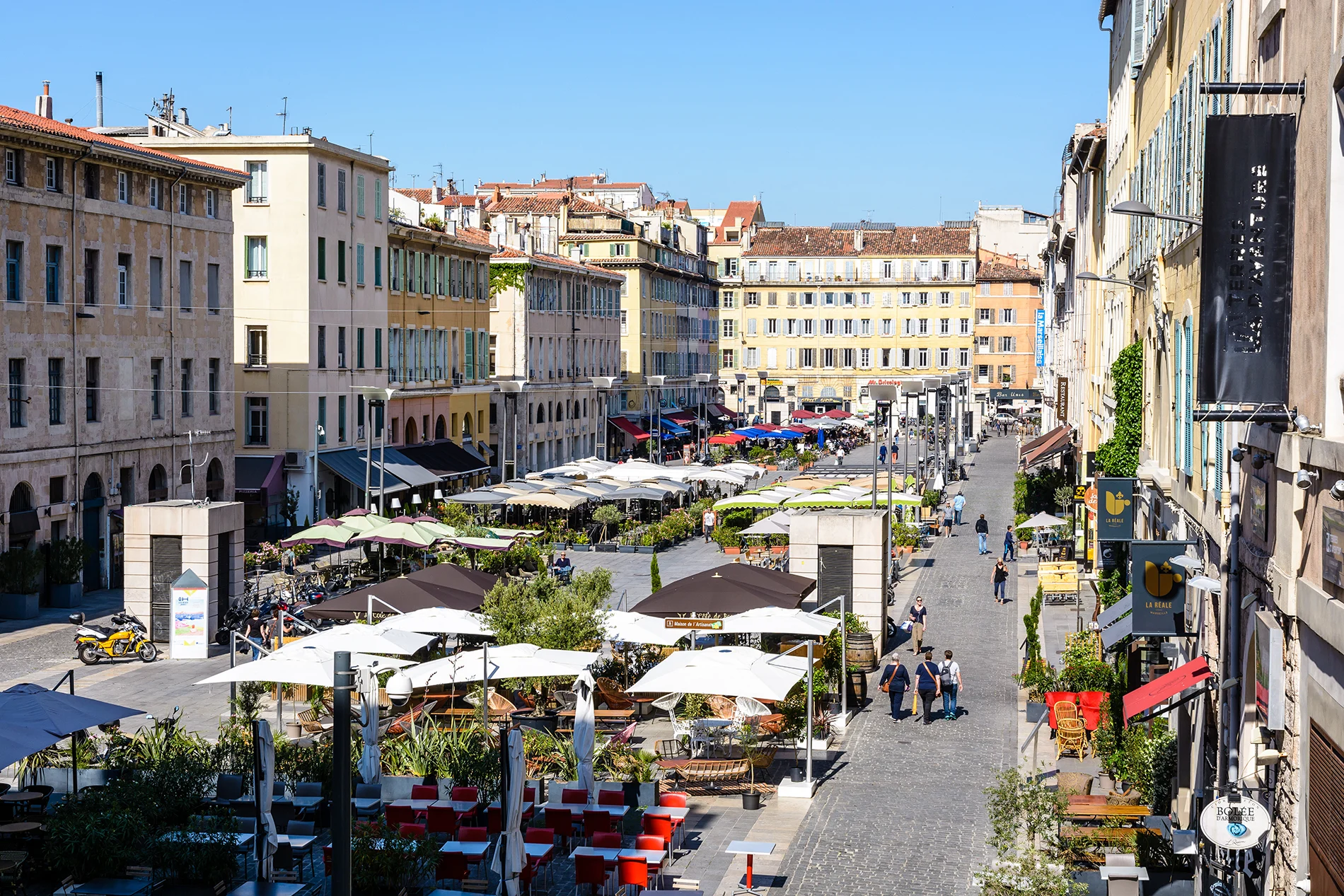 Read more about the article Discover Weed in Marseille