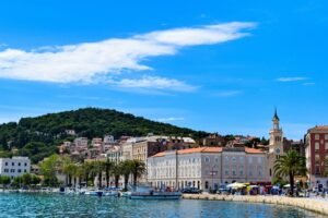 Read more about the article Discover Weed In Split