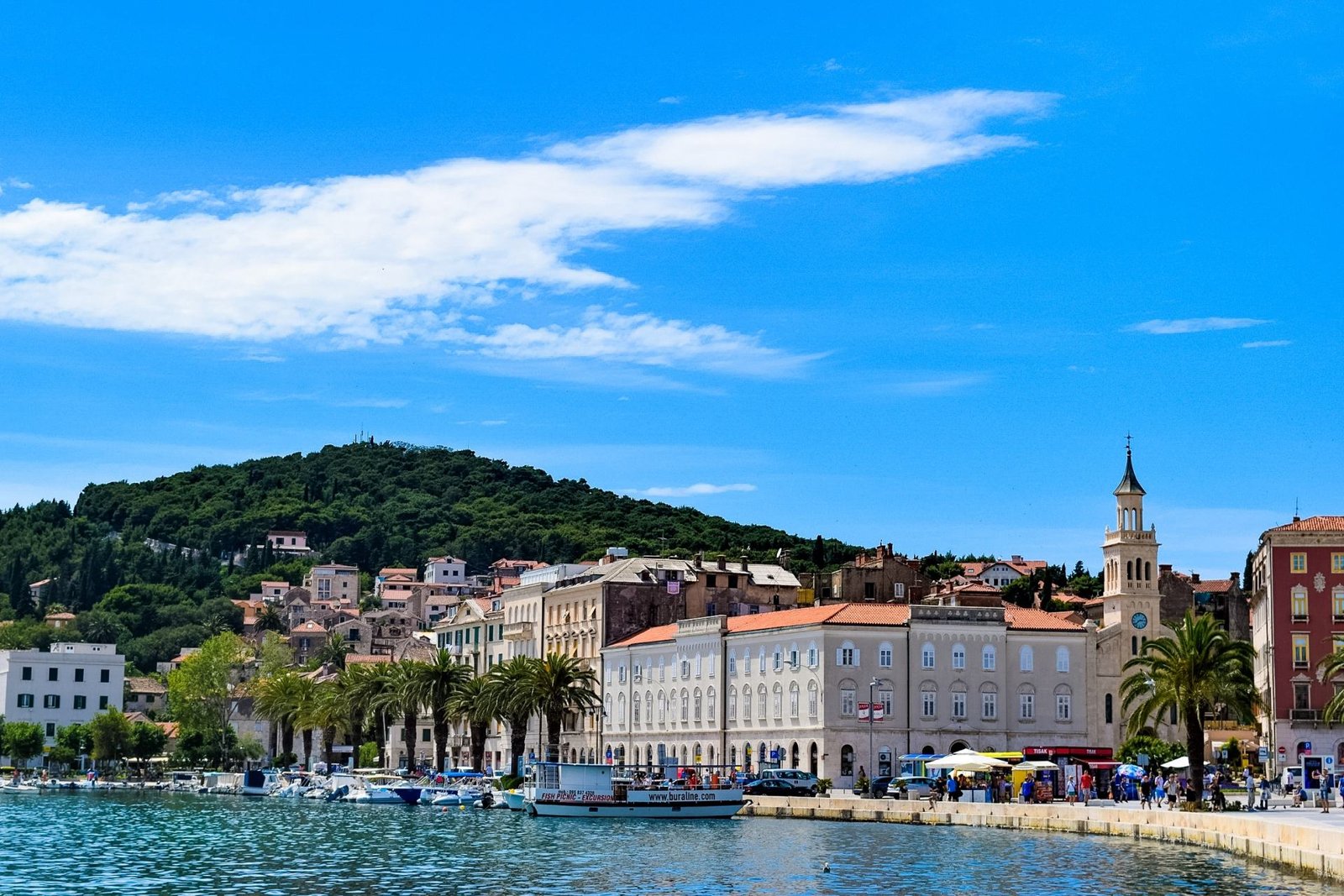 You are currently viewing Discover Weed In Split