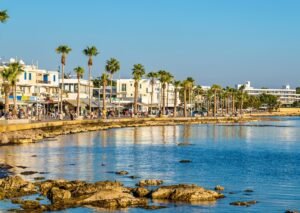 Read more about the article Discover Weed in Paphos