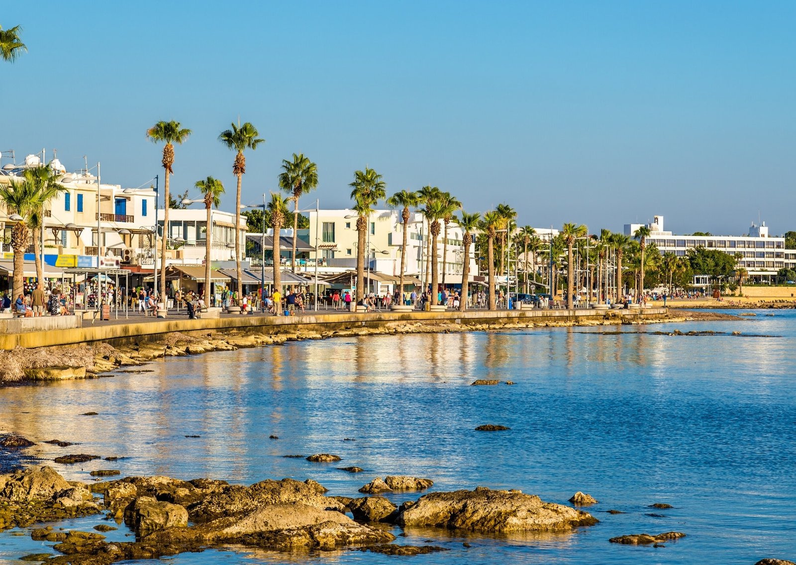 Read more about the article Discover Weed in Paphos