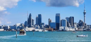 Read more about the article Discover Weed in Auckland