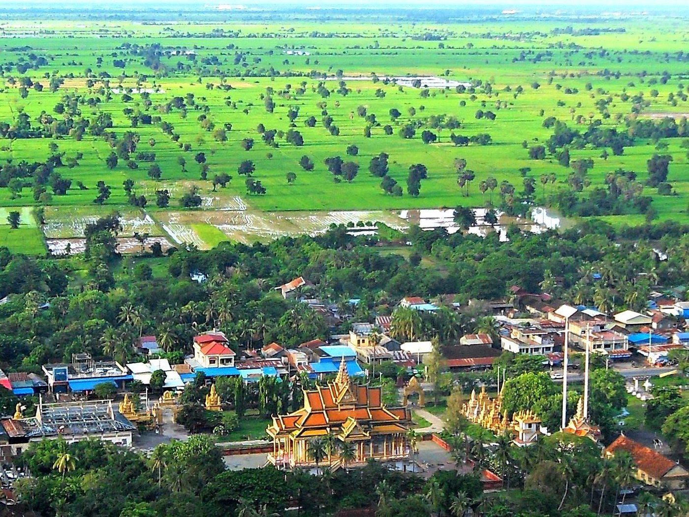 You are currently viewing Discover Weed in Battambang
