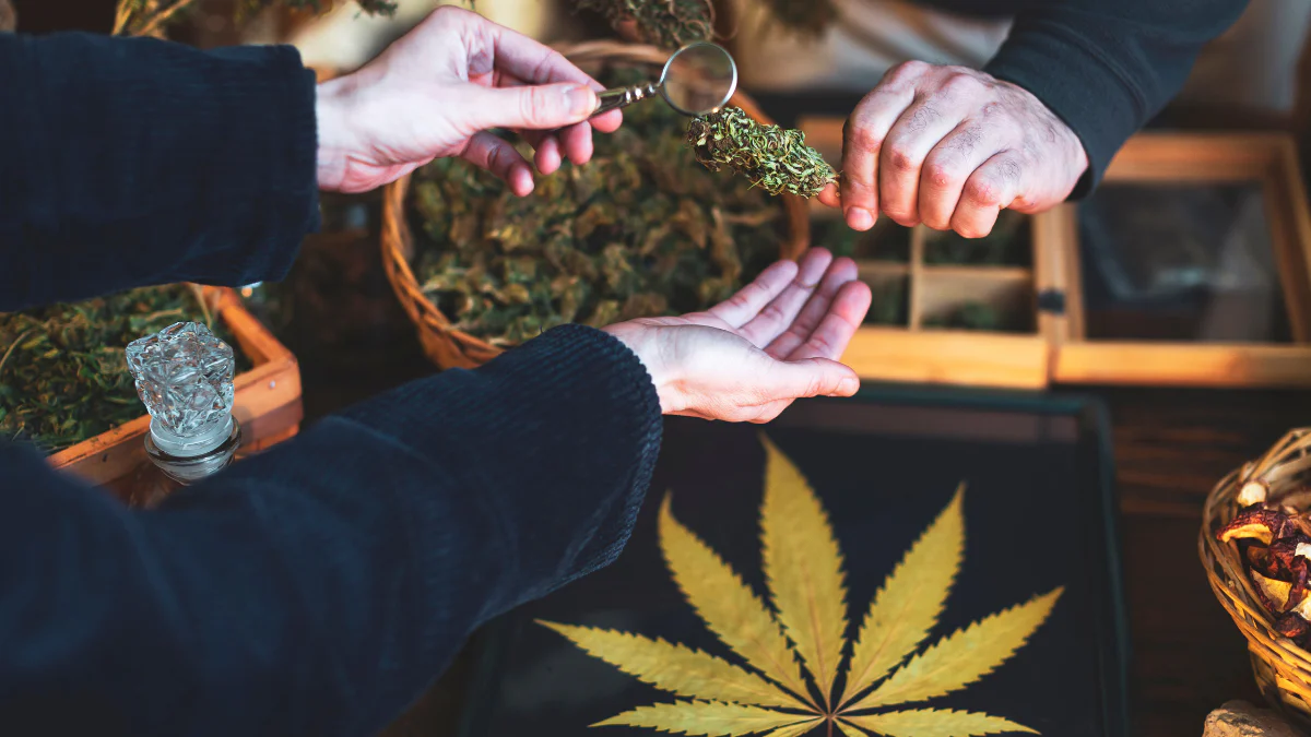 Weed in Vienna