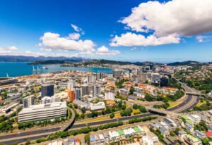 Read more about the article Discover Weed in Wellington