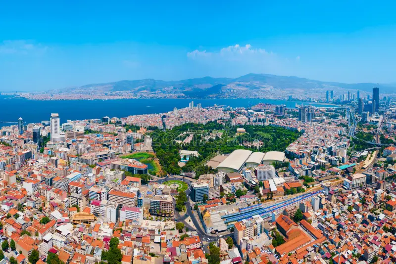 Read more about the article Discover Weed in İzmir