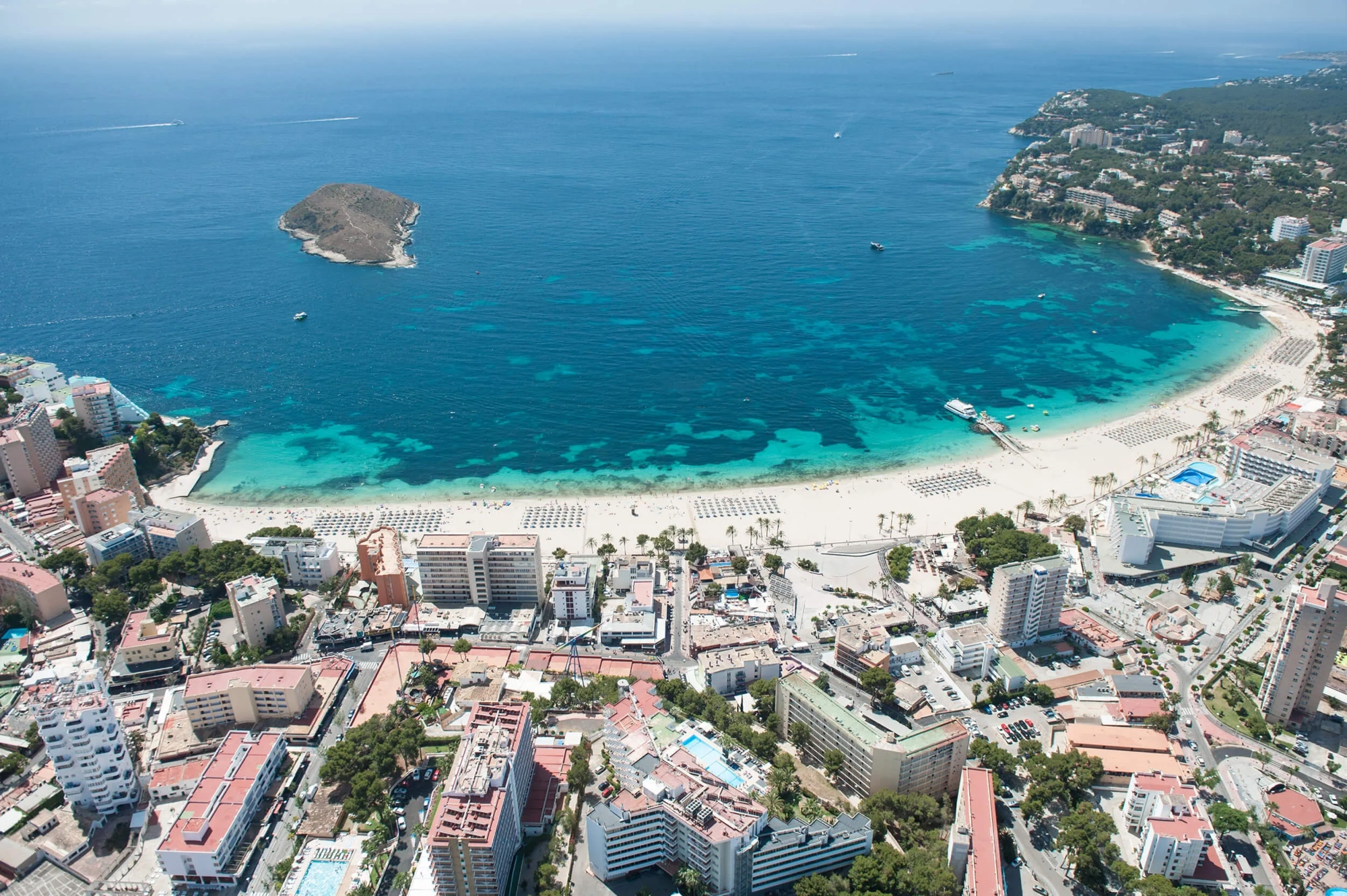 Read more about the article Discover Weed in Magaluf