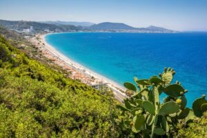 Read more about the article Guide To Weed In Rhodes