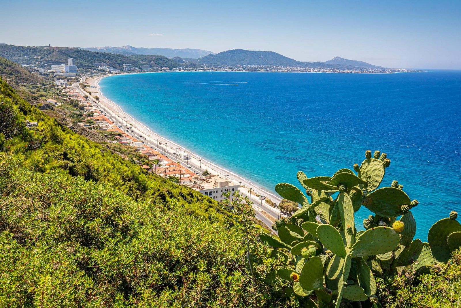 Read more about the article Guide To Weed In Rhodes