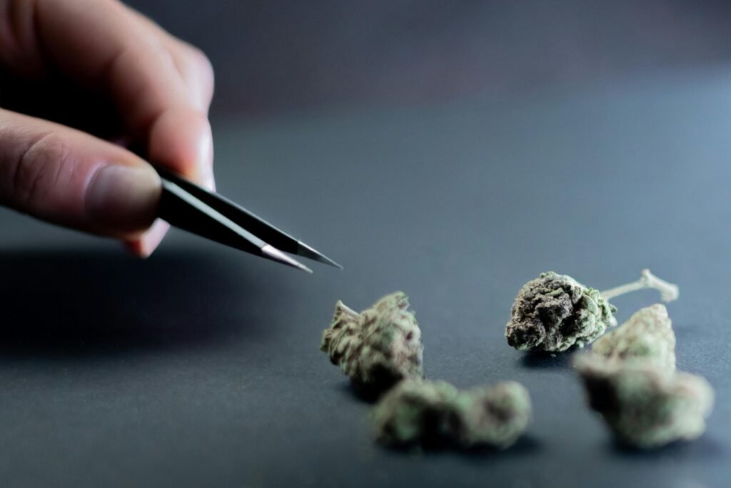 Weed in Budapest
