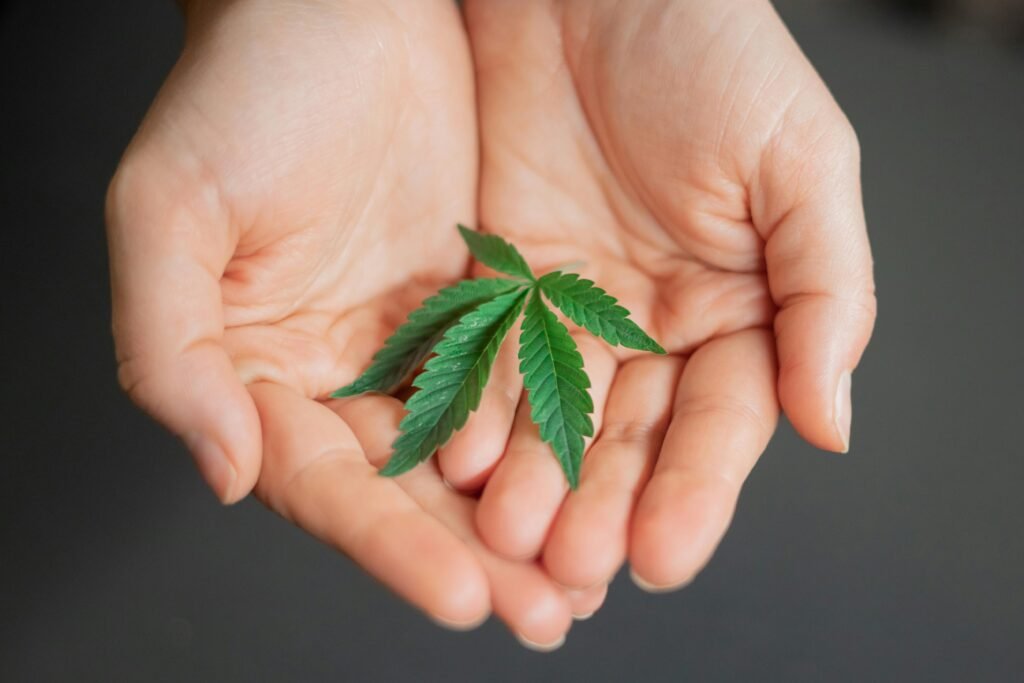 Weed in Brighton