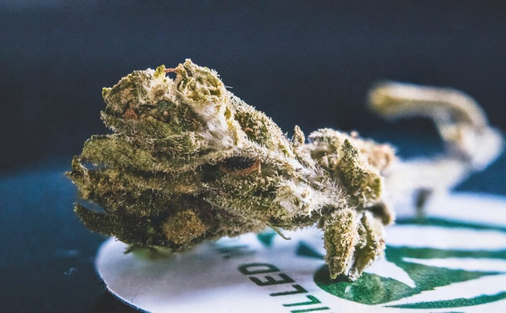 Weed in Brighton