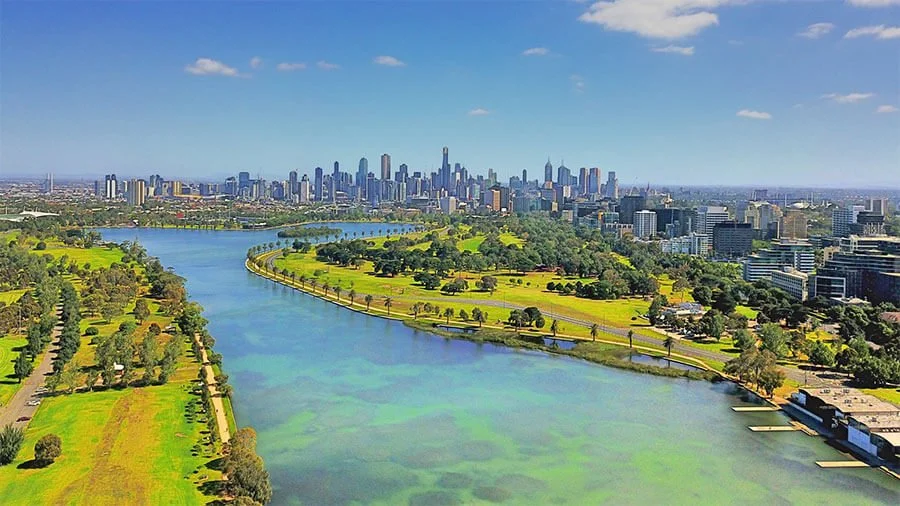 You are currently viewing Discover Weed in Melbourne
