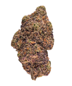Crazy Hazy Flower