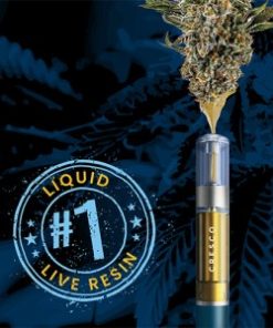 Watermelon Breeze Disposable Pen
