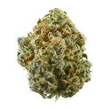 Zaza Ounce